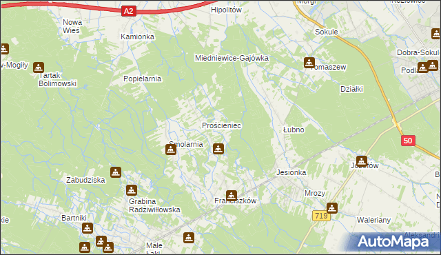 mapa Antoniew gmina Wiskitki, Antoniew gmina Wiskitki na mapie Targeo