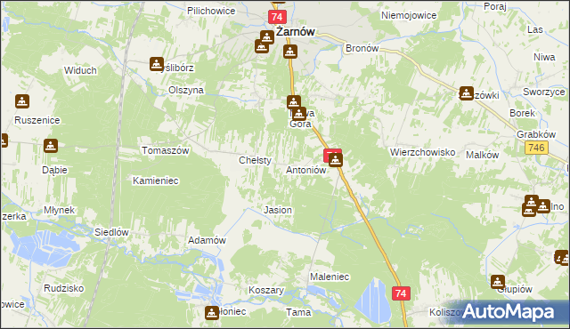 mapa Antoniów gmina Żarnów, Antoniów gmina Żarnów na mapie Targeo