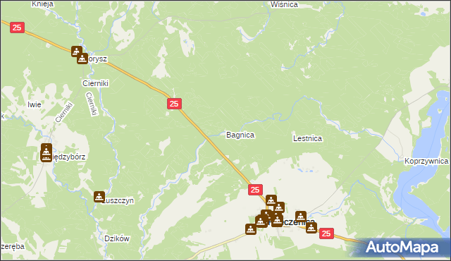 mapa Bagnica gmina Rzeczenica, Bagnica gmina Rzeczenica na mapie Targeo