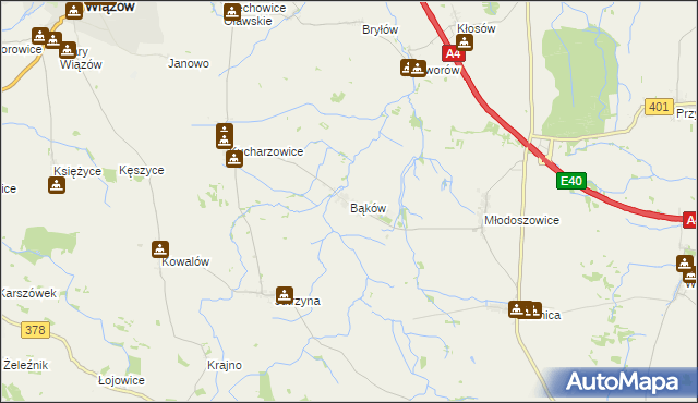 mapa Bąków gmina Grodków, Bąków gmina Grodków na mapie Targeo