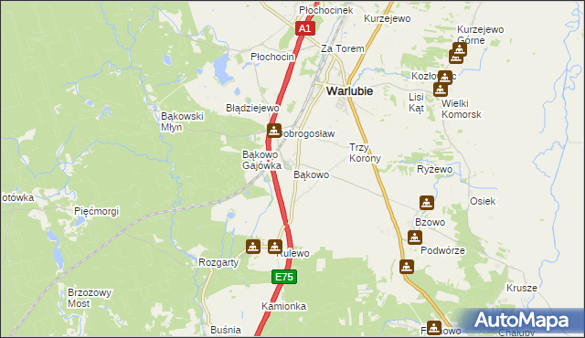 mapa Bąkowo gmina Warlubie, Bąkowo gmina Warlubie na mapie Targeo