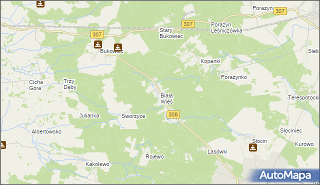 mapa Biała Wieś gmina Grodzisk Wielkopolski, Biała Wieś gmina Grodzisk Wielkopolski na mapie Targeo