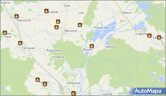 mapa Bielice gmina Świerczów, Bielice gmina Świerczów na mapie Targeo