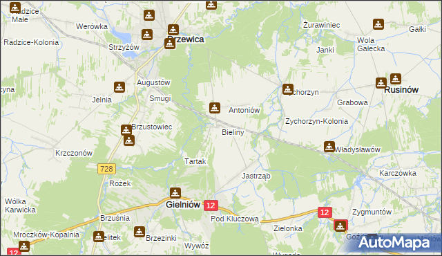 mapa Bieliny gmina Gielniów, Bieliny gmina Gielniów na mapie Targeo