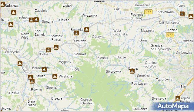 mapa Bieśnik gmina Łużna, Bieśnik gmina Łużna na mapie Targeo