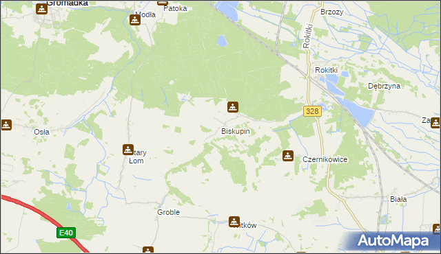 mapa Biskupin gmina Chojnów, Biskupin gmina Chojnów na mapie Targeo