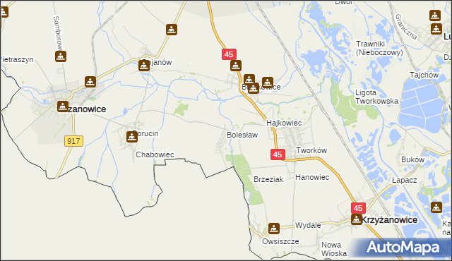 mapa Bolesław gmina Krzyżanowice, Bolesław gmina Krzyżanowice na mapie Targeo