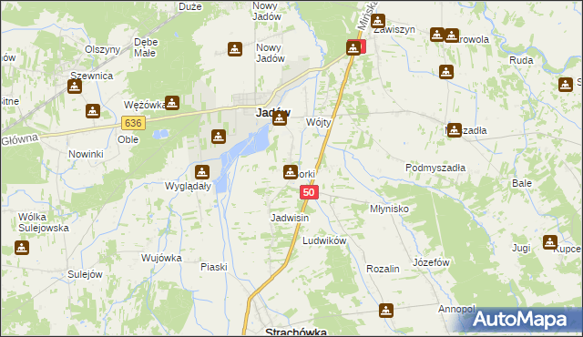 mapa Borki gmina Jadów, Borki gmina Jadów na mapie Targeo