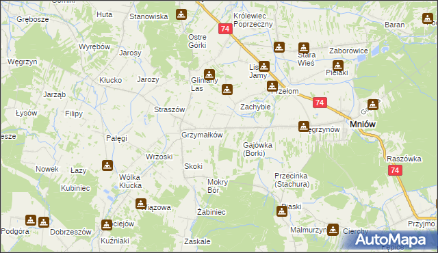 mapa Borki gmina Mniów, Borki gmina Mniów na mapie Targeo