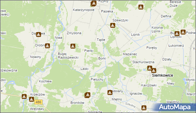 mapa Borki gmina Siemkowice, Borki gmina Siemkowice na mapie Targeo