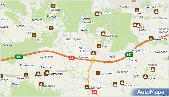 mapa Borki Pichelskie, Borki Pichelskie na mapie Targeo