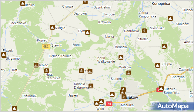 mapa Borki Walkowskie, Borki Walkowskie na mapie Targeo