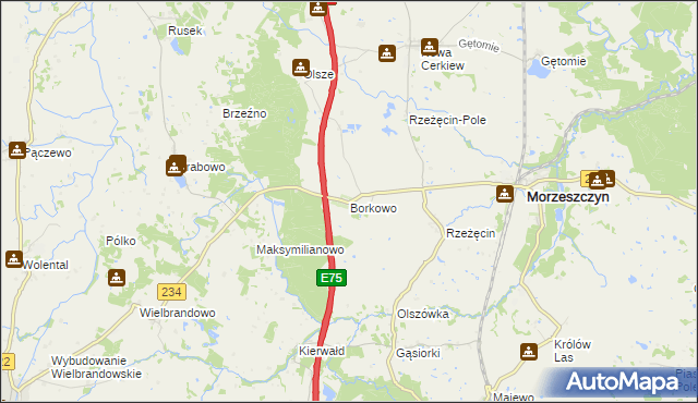 mapa Borkowo gmina Morzeszczyn, Borkowo gmina Morzeszczyn na mapie Targeo