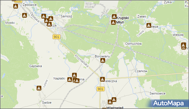 mapa Borowiany, Borowiany na mapie Targeo