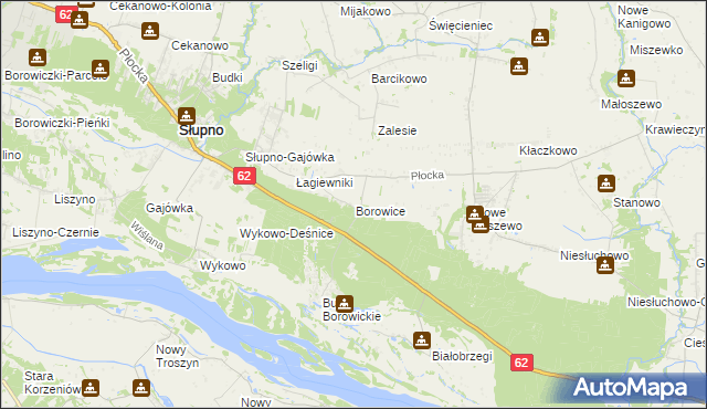 mapa Borowice gmina Bodzanów, Borowice gmina Bodzanów na mapie Targeo