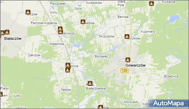 mapa Borowiec gmina Gowarczów, Borowiec gmina Gowarczów na mapie Targeo