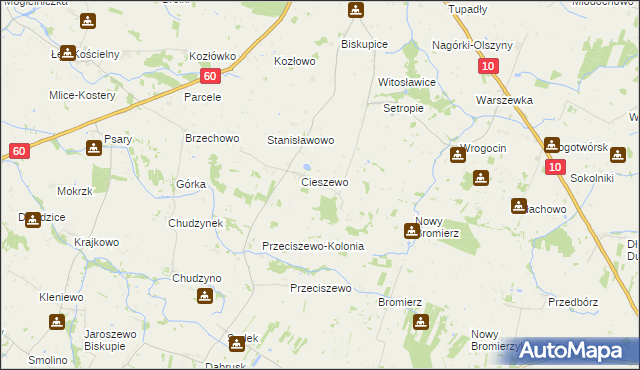 mapa Borowo gmina Drobin, Borowo gmina Drobin na mapie Targeo