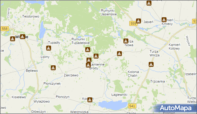 mapa Borowo gmina Tłuchowo, Borowo gmina Tłuchowo na mapie Targeo