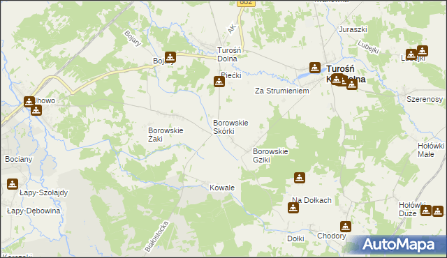 mapa Borowskie Michały, Borowskie Michały na mapie Targeo