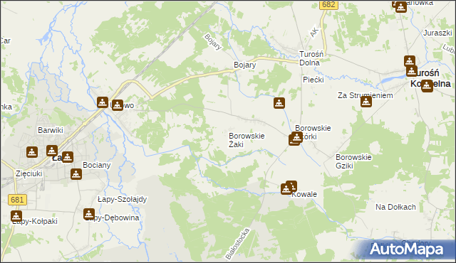 mapa Borowskie Żaki, Borowskie Żaki na mapie Targeo