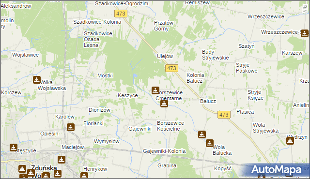 mapa Borszewice Cmentarne, Borszewice Cmentarne na mapie Targeo