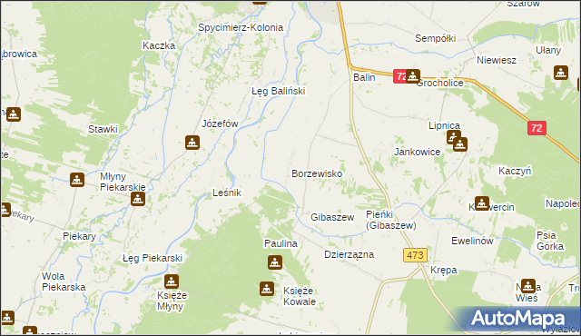 mapa Borzewisko gmina Poddębice, Borzewisko gmina Poddębice na mapie Targeo