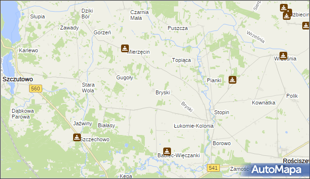 mapa Bryski gmina Rościszewo, Bryski gmina Rościszewo na mapie Targeo