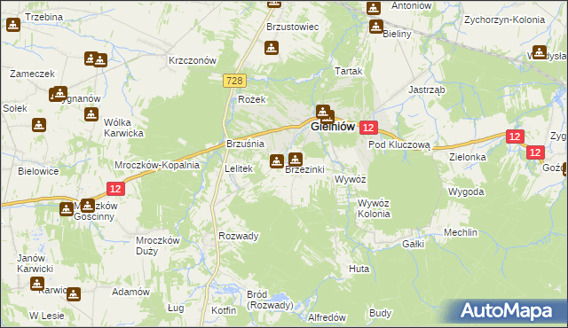 mapa Brzezinki gmina Gielniów, Brzezinki gmina Gielniów na mapie Targeo