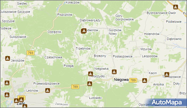 mapa Brzeziny gmina Niegowa, Brzeziny gmina Niegowa na mapie Targeo