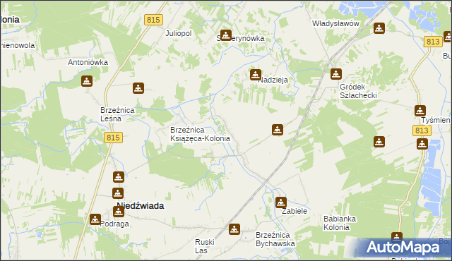 mapa Brzeźnica Książęca, Brzeźnica Książęca na mapie Targeo