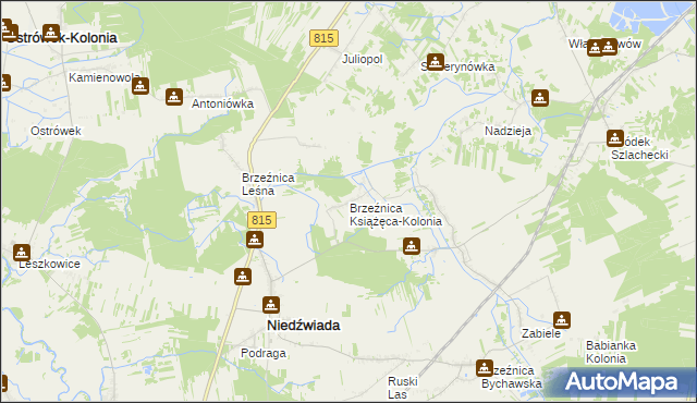 mapa Brzeźnica Książęca-Kolonia, Brzeźnica Książęca-Kolonia na mapie Targeo