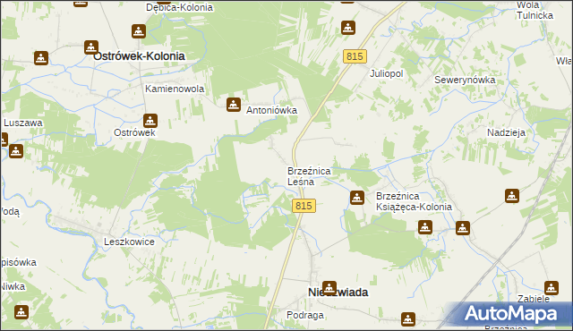 mapa Brzeźnica Leśna, Brzeźnica Leśna na mapie Targeo