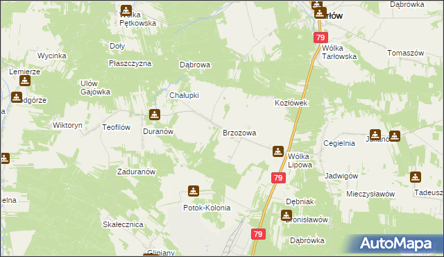 mapa Brzozowa gmina Tarłów, Brzozowa gmina Tarłów na mapie Targeo