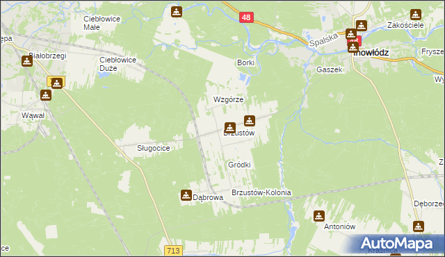 mapa Brzustów gmina Inowłódz, Brzustów gmina Inowłódz na mapie Targeo