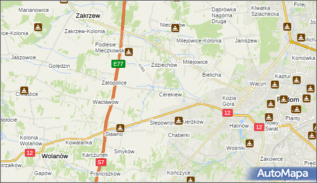 mapa Cerekiew gmina Zakrzew, Cerekiew gmina Zakrzew na mapie Targeo
