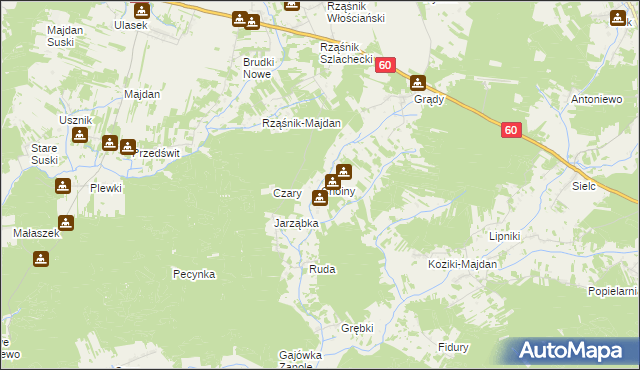 mapa Choiny gmina Wąsewo, Choiny gmina Wąsewo na mapie Targeo