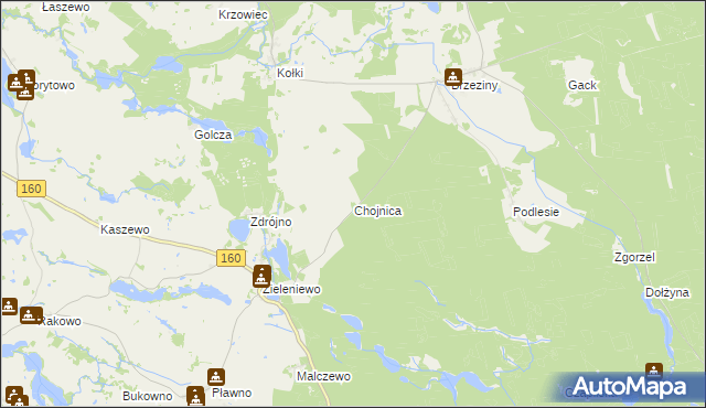 mapa Chojnica gmina Bierzwnik, Chojnica gmina Bierzwnik na mapie Targeo