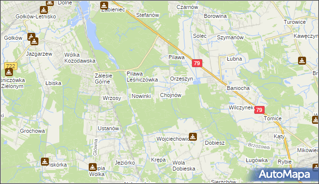 mapa Chojnów gmina Piaseczno, Chojnów gmina Piaseczno na mapie Targeo