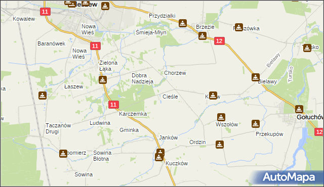 mapa Cieśle gmina Gołuchów, Cieśle gmina Gołuchów na mapie Targeo