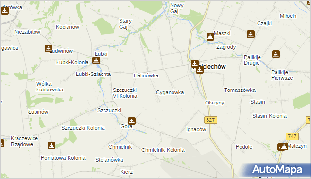 mapa Cyganówka gmina Wojciechów, Cyganówka gmina Wojciechów na mapie Targeo