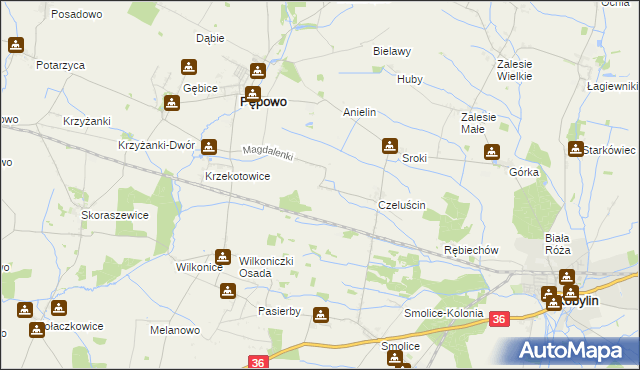 mapa Czeluścinek, Czeluścinek na mapie Targeo