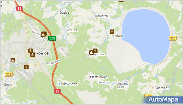 mapa Dąbrowa gmina Polkowice, Dąbrowa gmina Polkowice na mapie Targeo