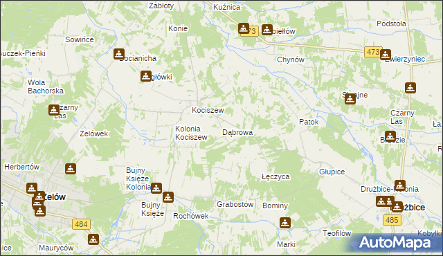 mapa Dąbrowa gmina Zelów, Dąbrowa gmina Zelów na mapie Targeo