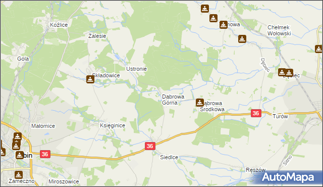 mapa Dąbrowa Górna gmina Lubin, Dąbrowa Górna gmina Lubin na mapie Targeo