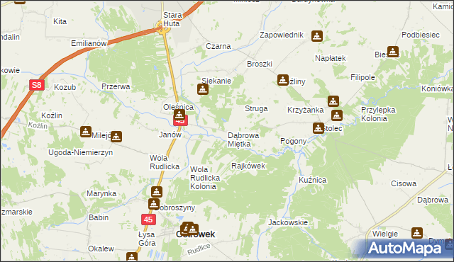 mapa Dąbrowa Miętka, Dąbrowa Miętka na mapie Targeo