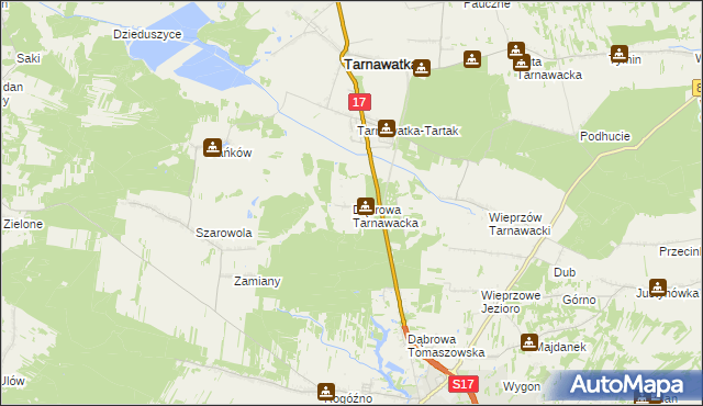 mapa Dąbrowa Tarnawacka, Dąbrowa Tarnawacka na mapie Targeo