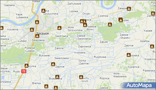 mapa Dąbrowica gmina Szczucin, Dąbrowica gmina Szczucin na mapie Targeo