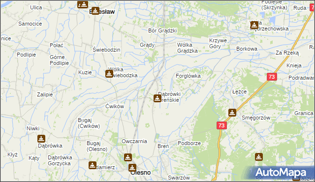 mapa Dąbrówki Breńskie, Dąbrówki Breńskie na mapie Targeo