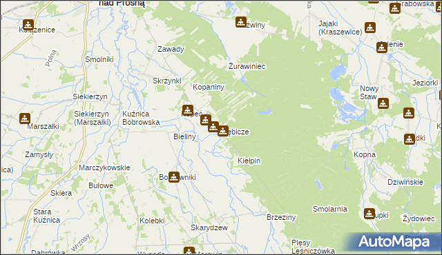 mapa Dębicze, Dębicze na mapie Targeo