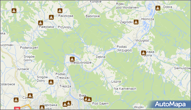 mapa Dębna gmina Sanok, Dębna gmina Sanok na mapie Targeo